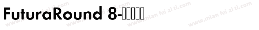 FuturaRound 8字体转换